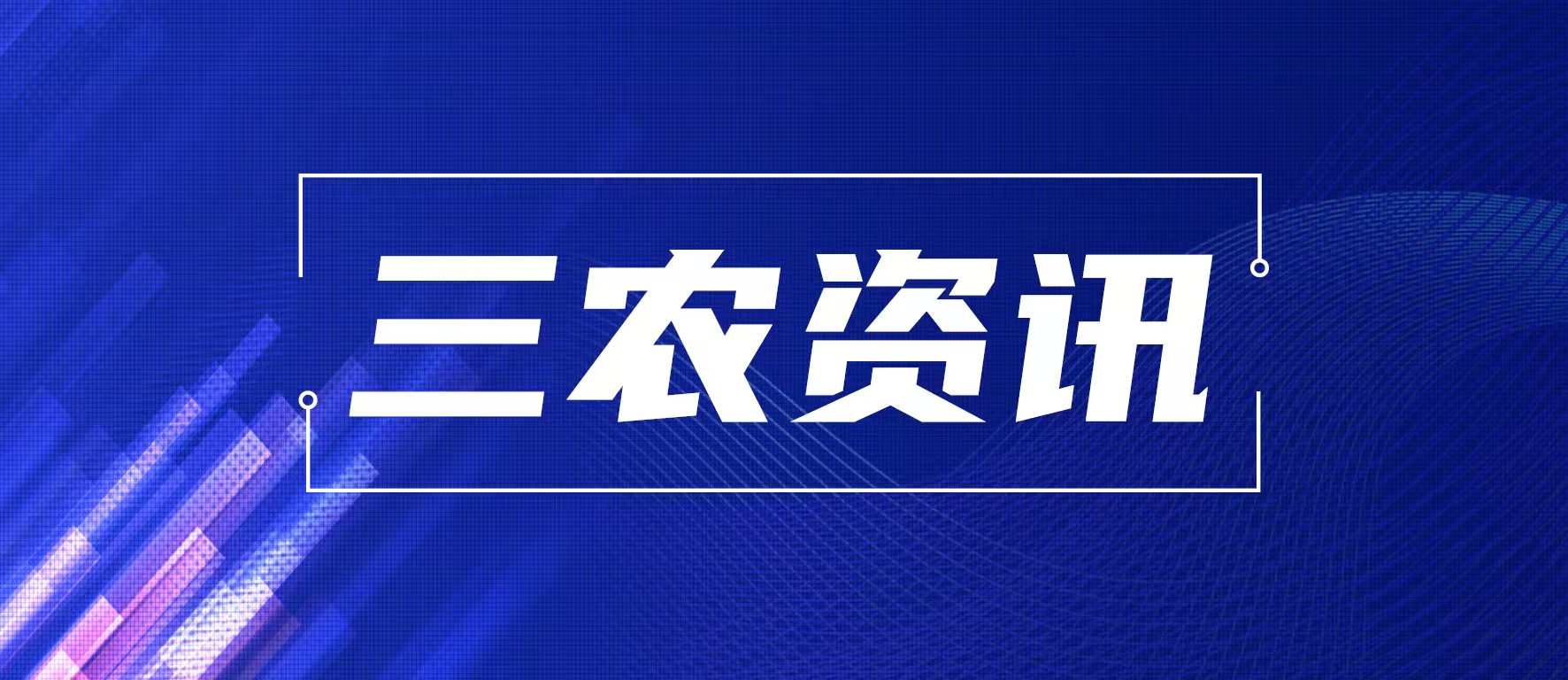 南阳以机制创新赋能乡村振兴