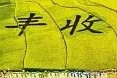 “一村富”怎样延伸为“整片兴”