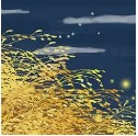 稻花香里，听取蛙声一片