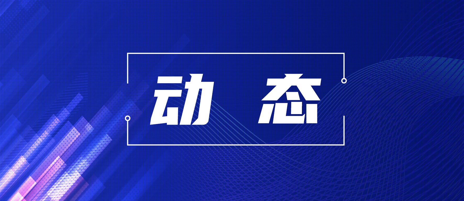 南阳市通过创新科技特派员基层服务方式积极推动科技支撑乡村振兴高质量发展